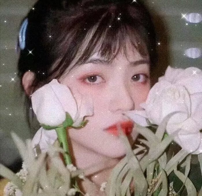 精选片单